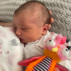 Ollie the Oddball Oddbird Chime & See Atachable Hanging Activity Toy