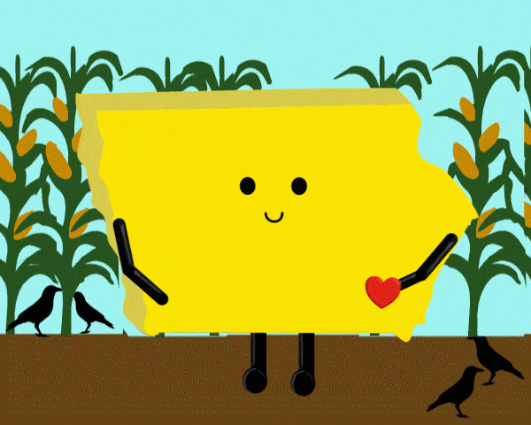 Iowa Stuffed State Plush – Collectible & Educational | Stuffed States USA