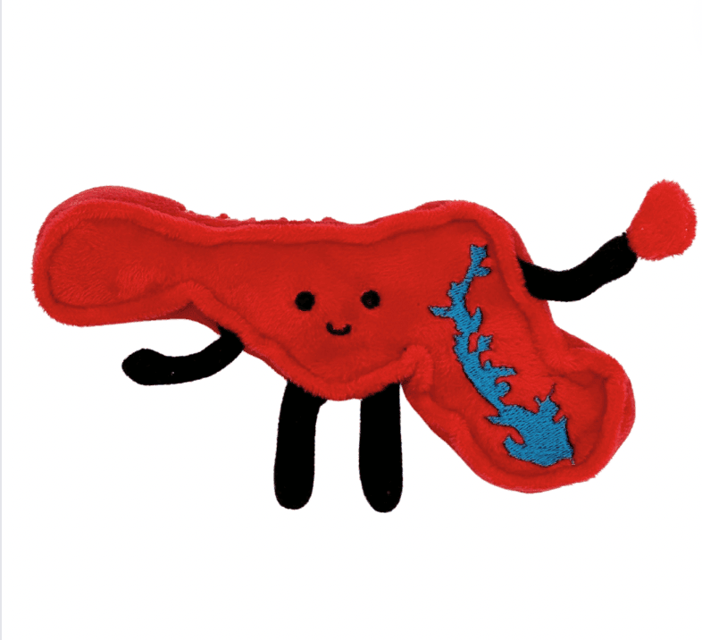 Maryland Mini Stuffed Magnet – 4-Inch Collectible | Stuffed States USA