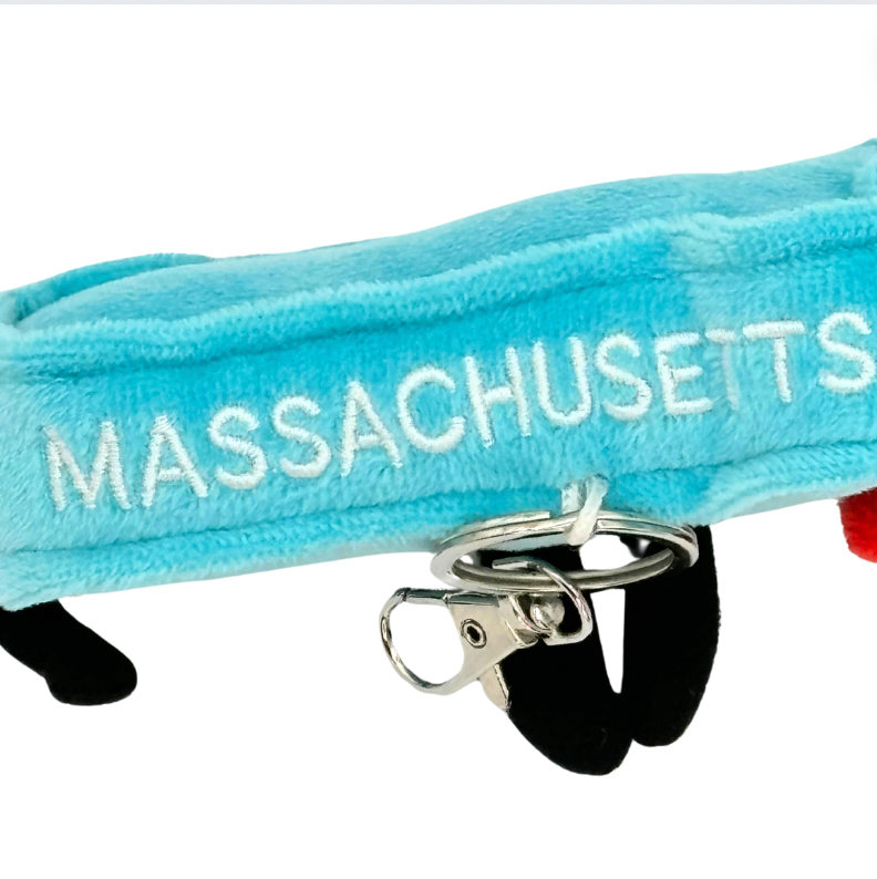 Massachusetts Bag Charm Mini Plush – 4-Inch Travel Accessory | Stuffed States USA"
