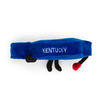 Kentucky Mini Stuffed Magnet – 4-Inch Collectible | Stuffed States USA