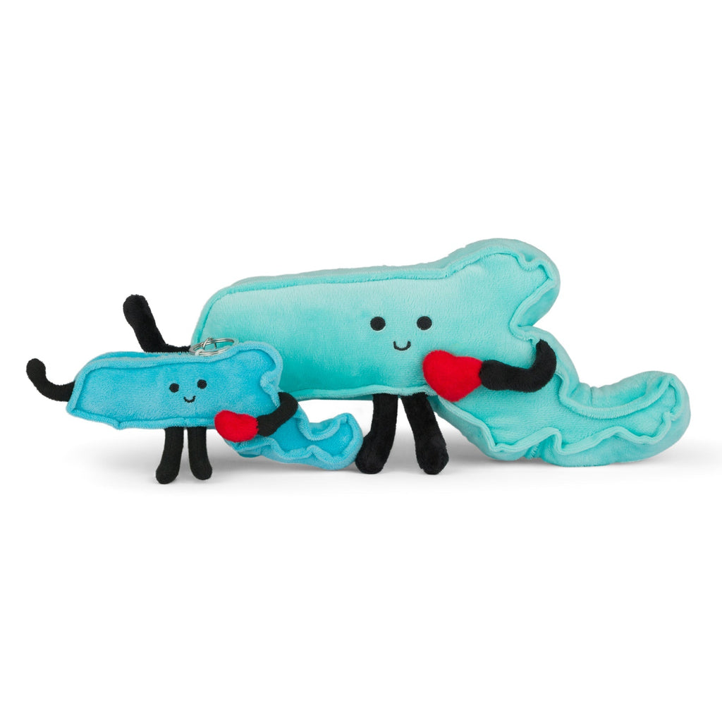 Massachusetts Stuffed State Plush – Collectible & Educational | Stuffed States USA