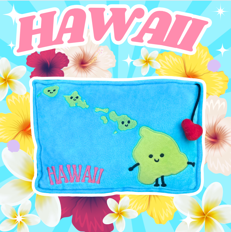 Hawaii Stuffed State Plush – Collectible & Educational | Stuffed States USA