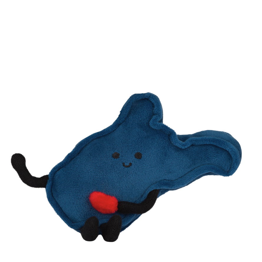 West Virginia Stuffed State Magnet – Plush WVU Team Colors Magnet & Souvenir