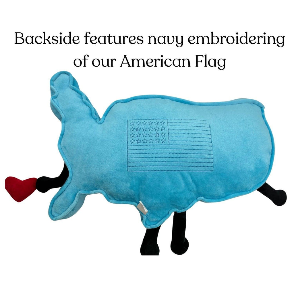 USA Mascot Map Pillow | Educational Plush Toy | Stuffed States USA