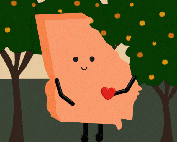 Georgia Stuffed State Plush  – The Peach State Collectible | Stuffed States USA