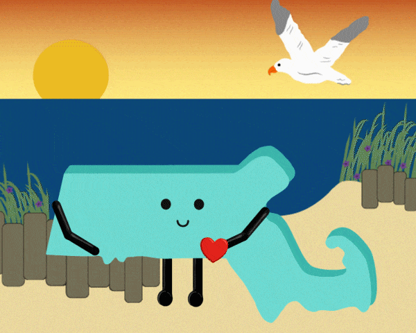 Massachusetts Stuffed State Plush – Collectible & Educational | Stuffed States USA