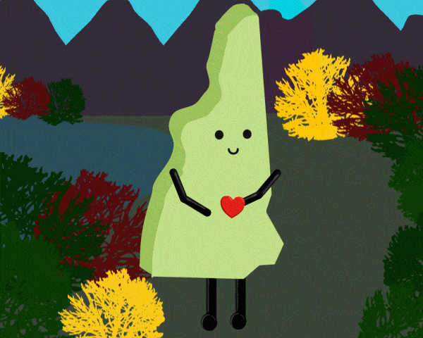 New Hampshire Stuffed State Plush – Collectible & Educational | Stuffed States USA