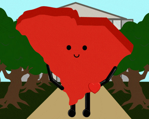 South Carolina Stuffed State Plush – Palmetto State with State Flag